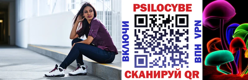 хочу   Сосенский  Псилоцибиновые грибы Psilocybe 